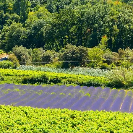 Отель Des Laurels